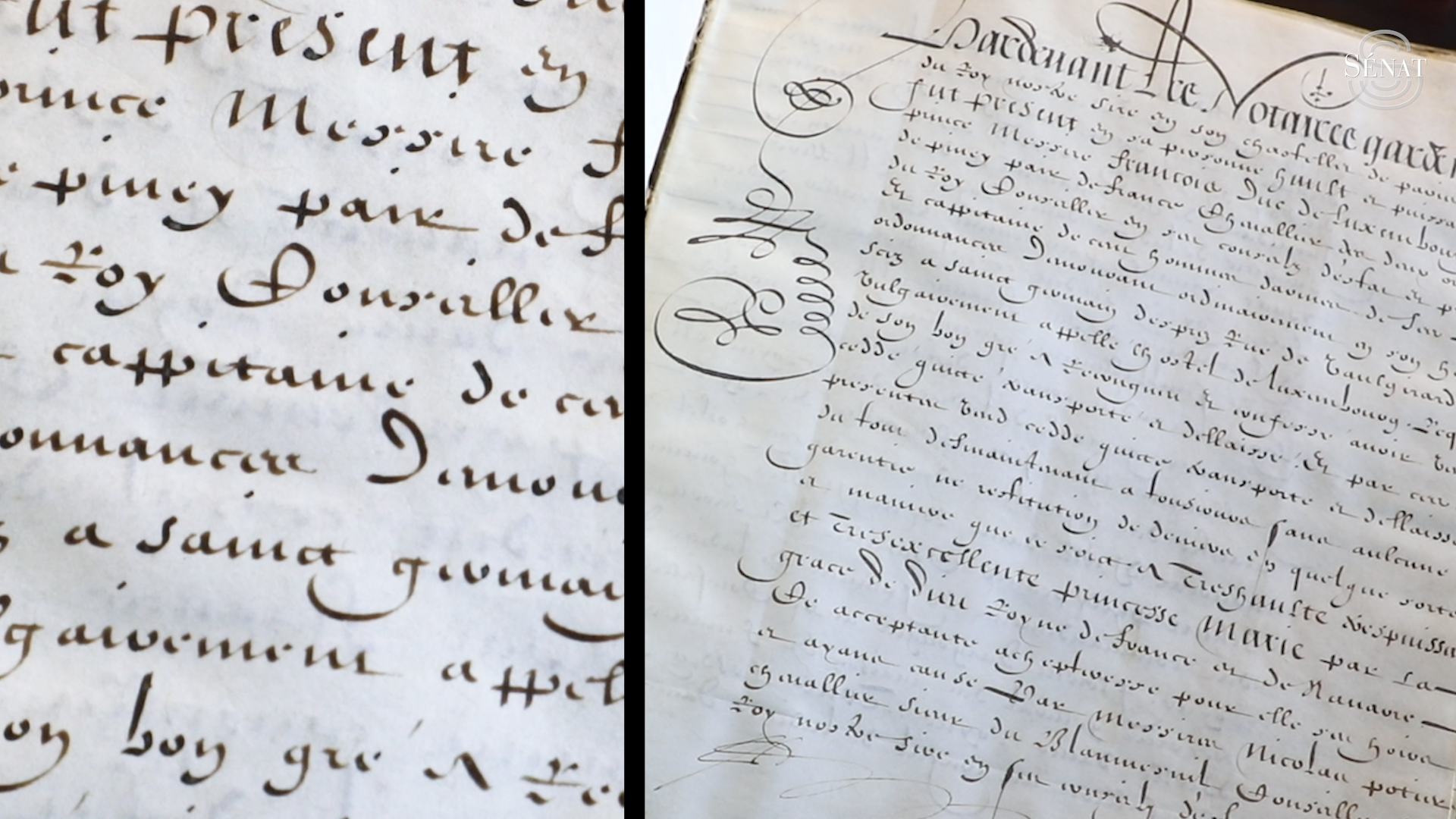 Trésors du Sénat : les actes d'acquisition du Palais du Luxembourg par Marie de Médicis